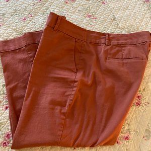 Ann Taylor Cuffed pants in Mauve, size 14